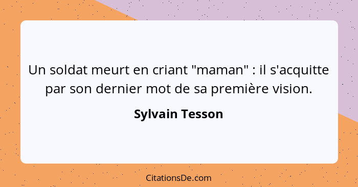 Un soldat meurt en criant "maman" : il s'acquitte par son dernier mot de sa première vision.... - Sylvain Tesson
