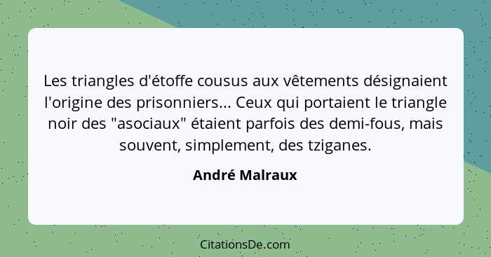 Les triangles d'étoffe cousus aux vêtements désignaient l'origine des prisonniers... Ceux qui portaient le triangle noir des "asociaux... - André Malraux