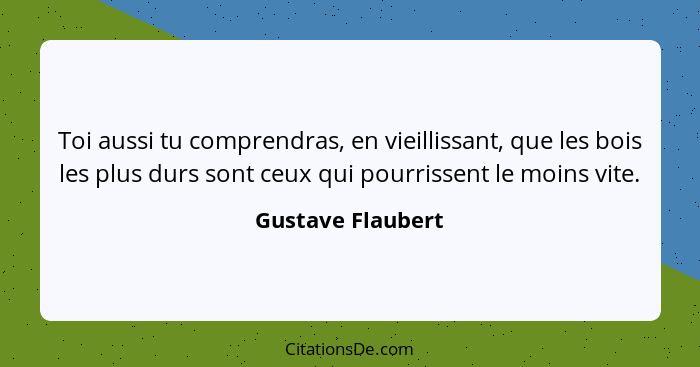 Toi aussi tu comprendras, en vieillissant, que les bois les plus durs sont ceux qui pourrissent le moins vite.... - Gustave Flaubert