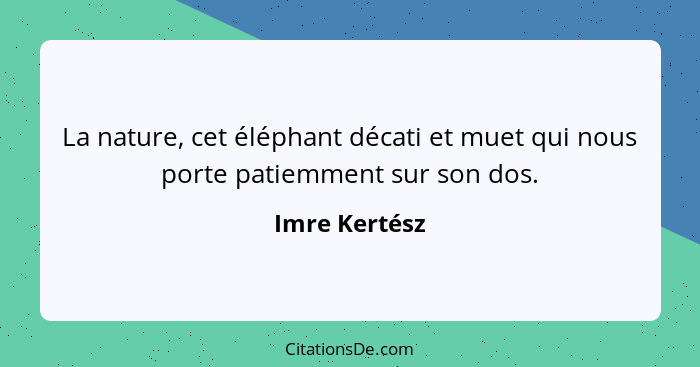 La nature, cet éléphant décati et muet qui nous porte patiemment sur son dos.... - Imre Kertész