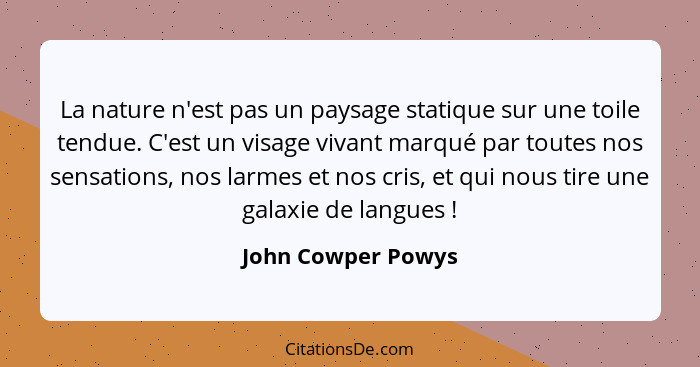 La nature n'est pas un paysage statique sur une toile tendue. C'est un visage vivant marqué par toutes nos sensations, nos larmes... - John Cowper Powys