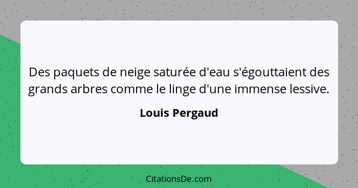 Des paquets de neige saturée d'eau s'égouttaient des grands arbres comme le linge d'une immense lessive.... - Louis Pergaud