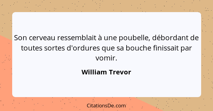 Son cerveau ressemblait à une poubelle, débordant de toutes sortes d'ordures que sa bouche finissait par vomir.... - William Trevor