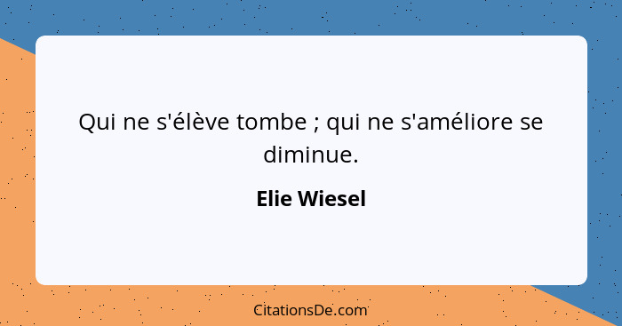 Qui ne s'élève tombe ; qui ne s'améliore se diminue.... - Elie Wiesel