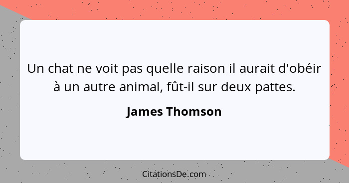 Un chat ne voit pas quelle raison il aurait d'obéir à un autre animal, fût-il sur deux pattes.... - James Thomson