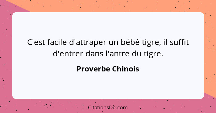 C'est facile d'attraper un bébé tigre, il suffit d'entrer dans l'antre du tigre.... - Proverbe Chinois