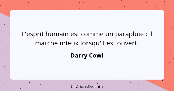 L'esprit humain est comme un parapluie : il marche mieux lorsqu'il est ouvert.... - Darry Cowl