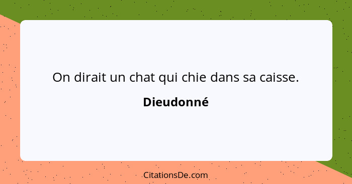 On dirait un chat qui chie dans sa caisse.... - Dieudonné