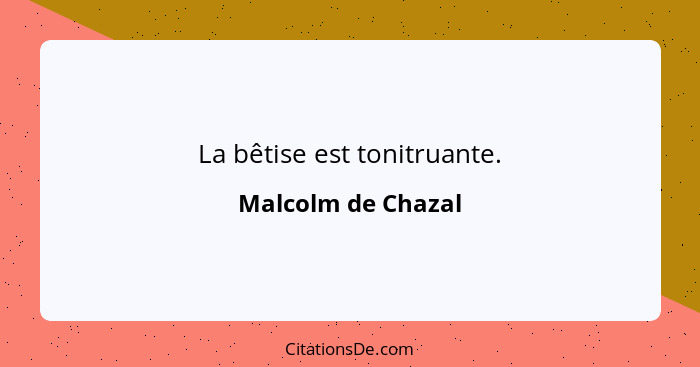 La bêtise est tonitruante.... - Malcolm de Chazal