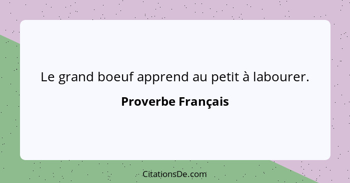 Le grand boeuf apprend au petit à labourer.... - Proverbe Français