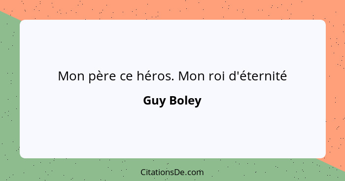 Mon père ce héros. Mon roi d'éternité... - Guy Boley