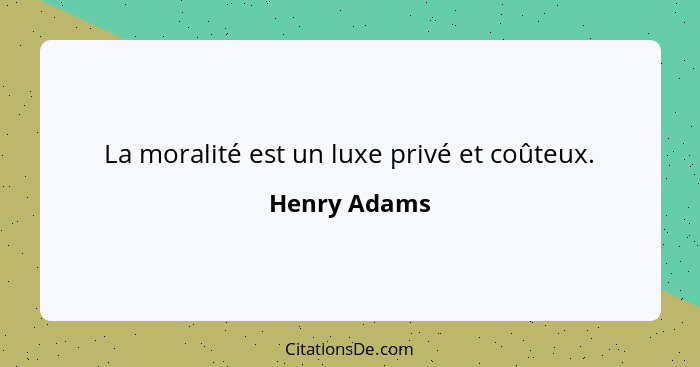 La moralité est un luxe privé et coûteux.... - Henry Adams