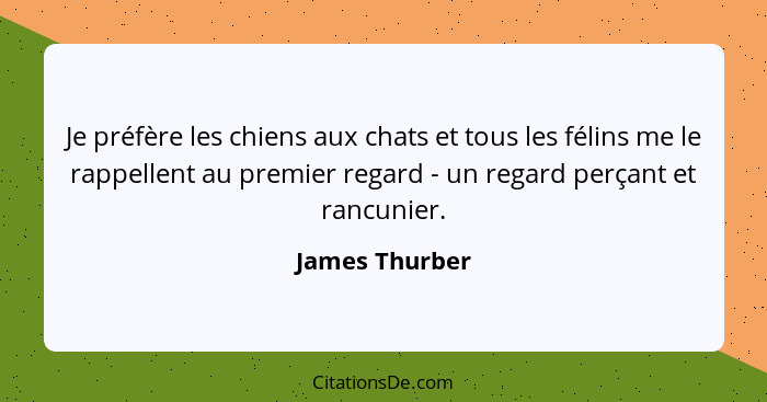 Je préfère les chiens aux chats et tous les félins me le rappellent au premier regard - un regard perçant et rancunier.... - James Thurber