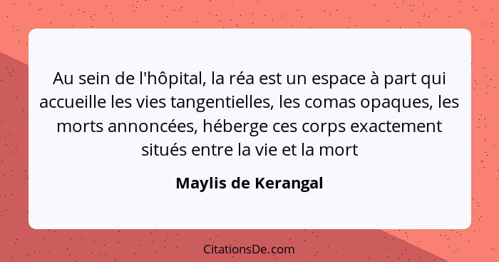 Au sein de l'hôpital, la réa est un espace à part qui accueille les vies tangentielles, les comas opaques, les morts annoncées, h... - Maylis de Kerangal