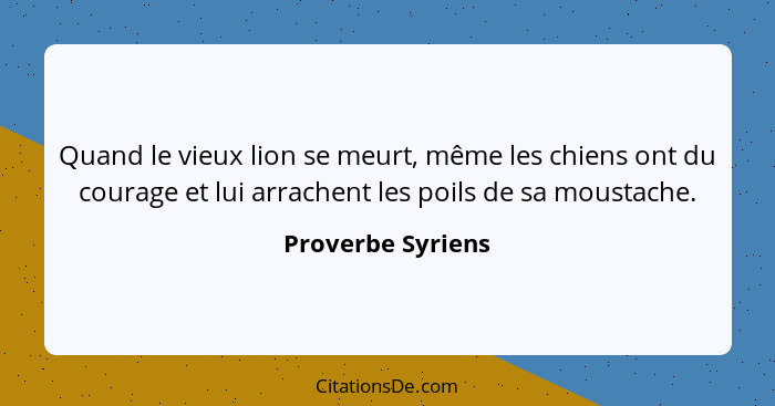 Quand le vieux lion se meurt, même les chiens ont du courage et lui arrachent les poils de sa moustache.... - Proverbe Syriens