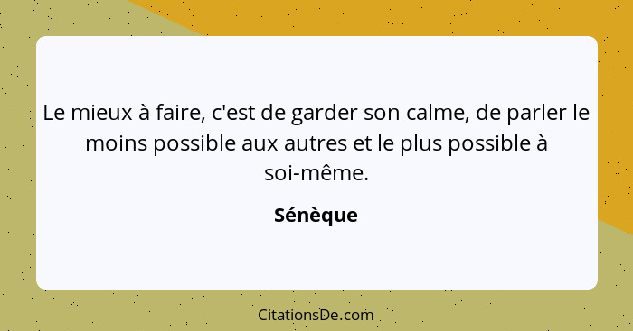 Le mieux à faire, c'est de garder son calme, de parler le moins possible aux autres et le plus possible à soi-même.... - Sénèque