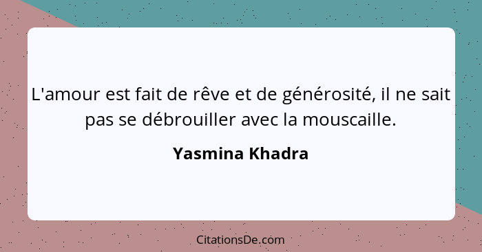 L'amour est fait de rêve et de générosité, il ne sait pas se débrouiller avec la mouscaille.... - Yasmina Khadra