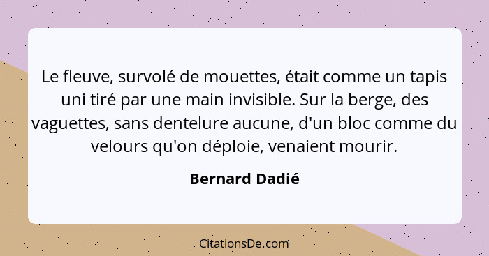 Le fleuve, survolé de mouettes, était comme un tapis uni tiré par une main invisible. Sur la berge, des vaguettes, sans dentelure aucu... - Bernard Dadié