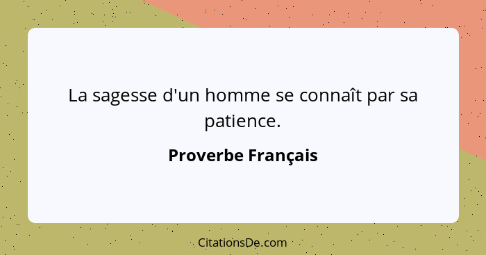 La sagesse d'un homme se connaît par sa patience.... - Proverbe Français