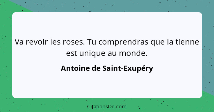 Va revoir les roses. Tu comprendras que la tienne est unique au monde.... - Antoine de Saint-Exupéry