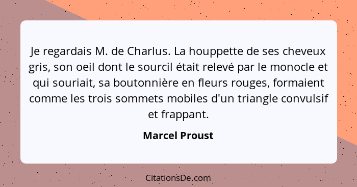 Je regardais M. de Charlus. La houppette de ses cheveux gris, son oeil dont le sourcil était relevé par le monocle et qui souriait, sa... - Marcel Proust