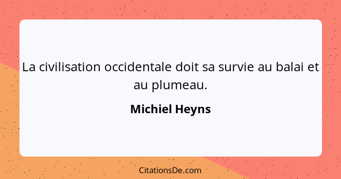 La civilisation occidentale doit sa survie au balai et au plumeau.... - Michiel Heyns