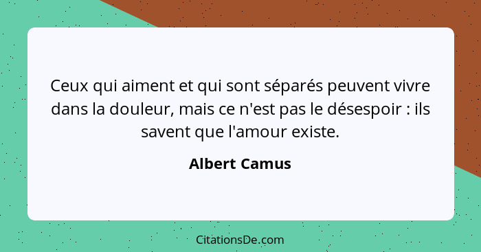 Ceux qui aiment et qui sont séparés peuvent vivre dans la douleur, mais ce n'est pas le désespoir : ils savent que l'amour existe.... - Albert Camus