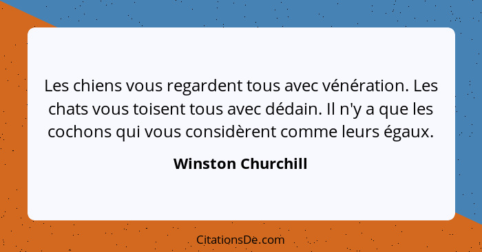 Les chiens vous regardent tous avec vénération. Les chats vous toisent tous avec dédain. Il n'y a que les cochons qui vous considè... - Winston Churchill