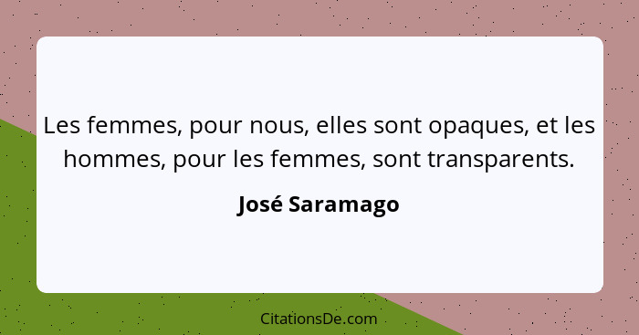Les femmes, pour nous, elles sont opaques, et les hommes, pour les femmes, sont transparents.... - José Saramago