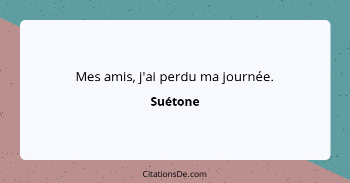 Mes amis, j'ai perdu ma journée.... - Suétone