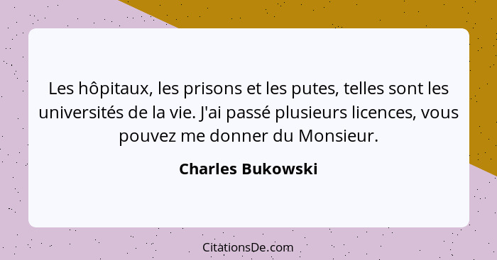 Les hôpitaux, les prisons et les putes, telles sont les universités de la vie. J'ai passé plusieurs licences, vous pouvez me donner... - Charles Bukowski