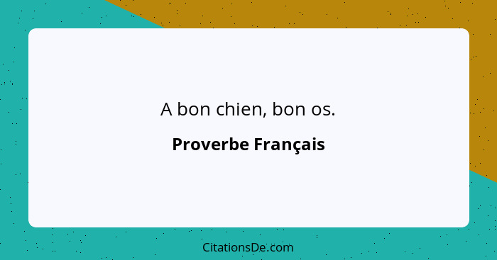 A bon chien, bon os.... - Proverbe Français