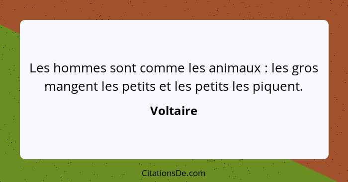 Voltaire Les Hommes Sont Comme Les Animaux Les Gros