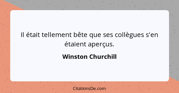 Il était tellement bête que ses collègues s'en étaient aperçus.... - Winston Churchill