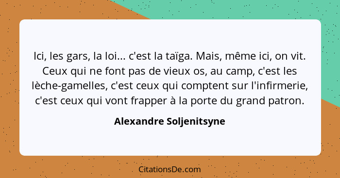 Ici, les gars, la loi... c'est la taïga. Mais, même ici, on vit. Ceux qui ne font pas de vieux os, au camp, c'est les lèche-g... - Alexandre Soljenitsyne