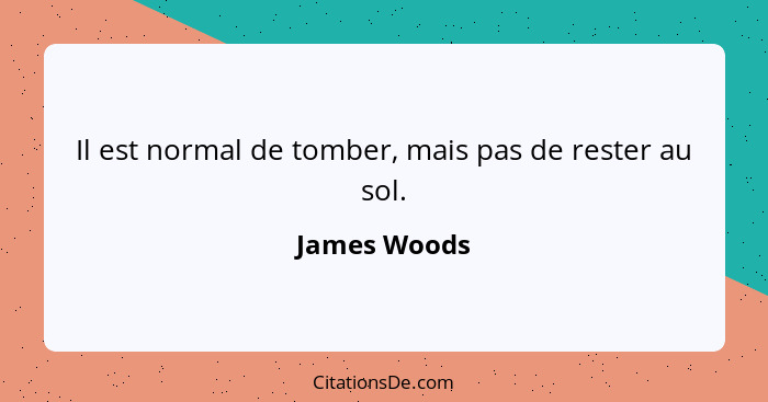 Il est normal de tomber, mais pas de rester au sol.... - James Woods