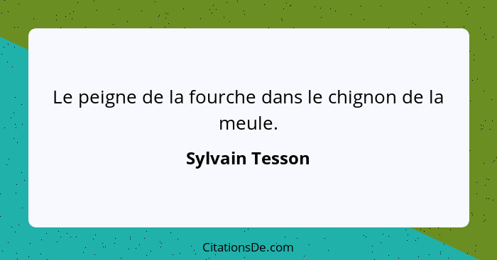 Le peigne de la fourche dans le chignon de la meule.... - Sylvain Tesson
