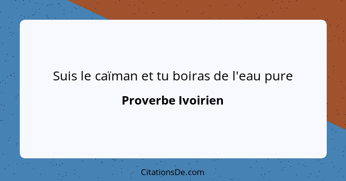 Suis le caïman et tu boiras de l'eau pure... - Proverbe Ivoirien