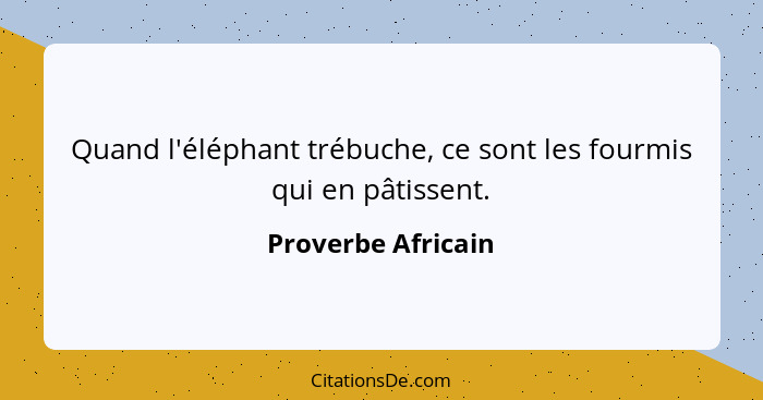 Quand l'éléphant trébuche, ce sont les fourmis qui en pâtissent.... - Proverbe Africain