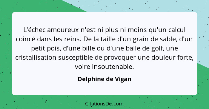 L'échec amoureux n'est ni plus ni moins qu'un calcul coincé dans les reins. De la taille d'un grain de sable, d'un petit pois, d'u... - Delphine de Vigan