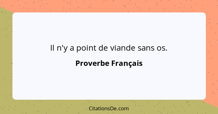 Il n'y a point de viande sans os.... - Proverbe Français