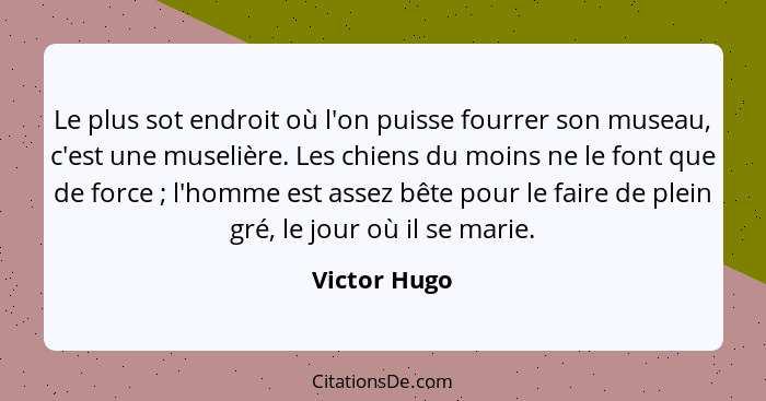 Le plus sot endroit où l'on puisse fourrer son museau, c'est une muselière. Les chiens du moins ne le font que de force ; l'homme e... - Victor Hugo