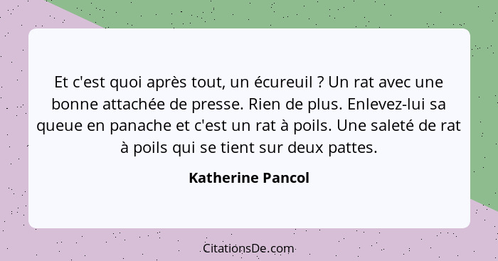 Et c'est quoi après tout, un écureuil ? Un rat avec une bonne attachée de presse. Rien de plus. Enlevez-lui sa queue en panach... - Katherine Pancol