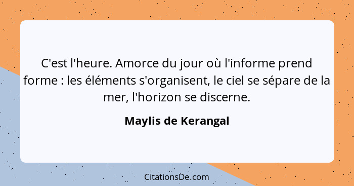 C'est l'heure. Amorce du jour où l'informe prend forme : les éléments s'organisent, le ciel se sépare de la mer, l'horizon s... - Maylis de Kerangal