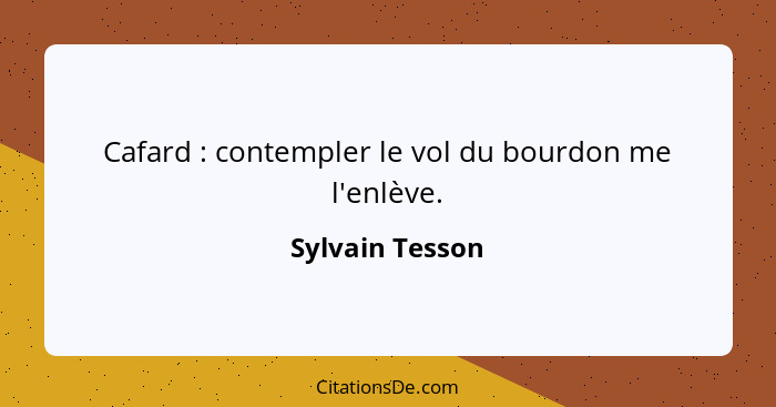 Cafard : contempler le vol du bourdon me l'enlève.... - Sylvain Tesson