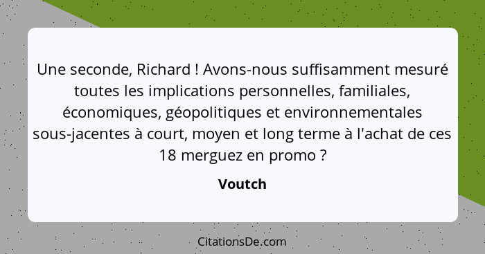 Une seconde, Richard ! Avons-nous suffisamment mesuré toutes les implications personnelles, familiales, économiques, géopolitiques et en... - Voutch