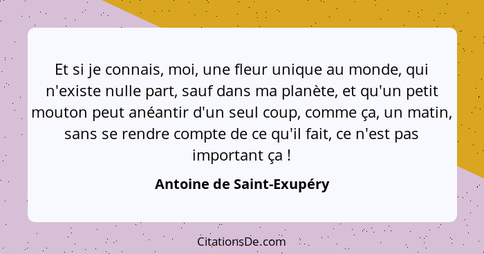 Et si je connais, moi, une fleur unique au monde, qui n'existe nulle part, sauf dans ma planète, et qu'un petit mouton peut... - Antoine de Saint-Exupéry