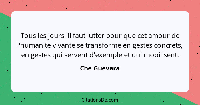 Tous les jours, il faut lutter pour que cet amour de l'humanité vivante se transforme en gestes concrets, en gestes qui servent d'exempl... - Che Guevara