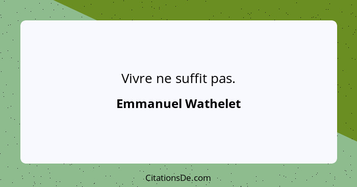 Vivre ne suffit pas.... - Emmanuel Wathelet