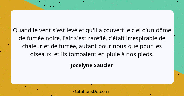 Quand le vent s'est levé et qu'il a couvert le ciel d'un dôme de fumée noire, l'air s'est raréfié, c'était irrespirable de chaleur... - Jocelyne Saucier